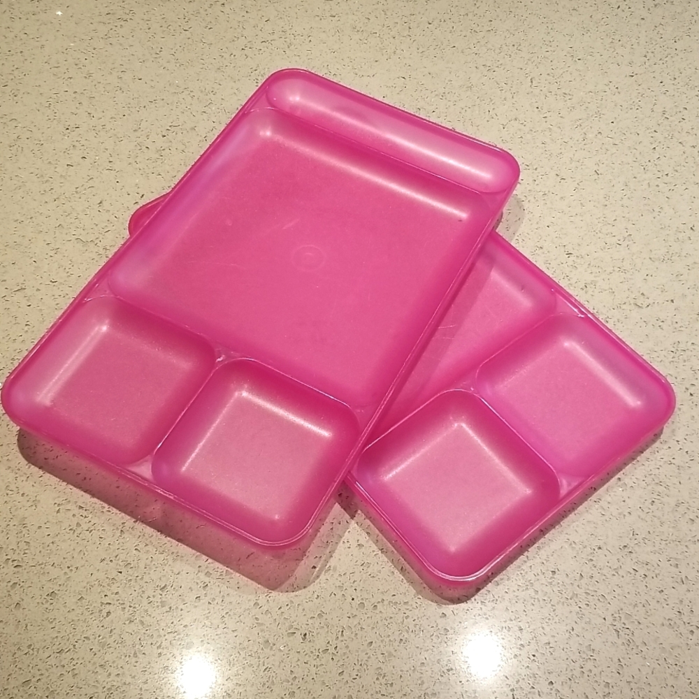 Impressions Dinning Trays (set of 2)